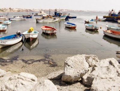 Photo Alger Port Ain Taya